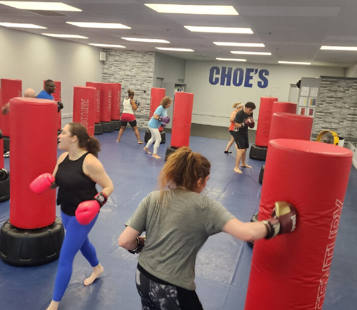 fitness kickboxing